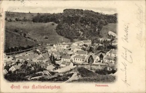 Ak Kaltenleutgeben in Niederösterreich, Panorama