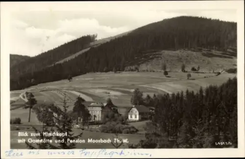 Ak Manebach Ilmenau in Thüringen, Hirschkopf, Pension Moosbach