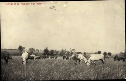 Ak Ypres Ypern Flandern, Feindlicher Flieger vor Ypern, Pferdekoppel, Doppeldecker