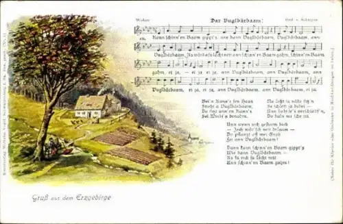 10 alte Lied Ak, diverse Ansichten