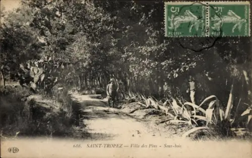 Ak Saint Tropez Var, Villa des Pins, Unterholz
