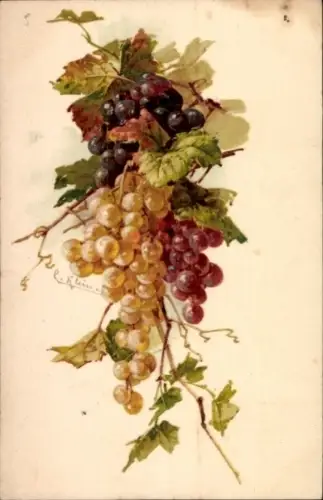 Künstler Ak Klein, Catharina, Weintrauben, Herbstmotiv