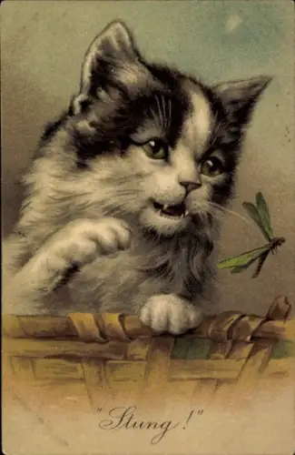 Präge Litho Schwarz weiße Katze, Libelle, Schmetterling