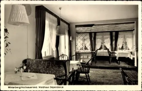 Ak Winterberg im Sauerland, Waldhaus Dépendance
