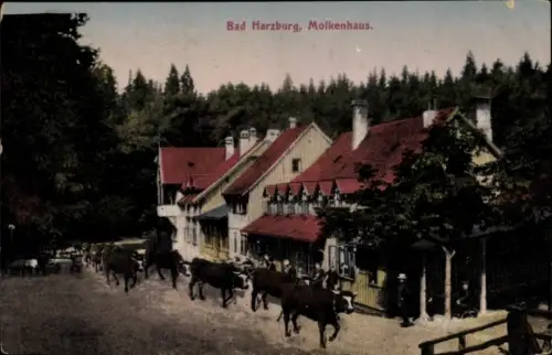 Ak Bad Harzburg am Harz, Molkenhaus, Viehtrieb