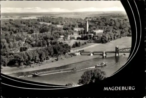 Ak Rotehorn Magdeburg an der Elbe, Luftaufnahme von  Dom, Kulturpark Rotehorn, Flüsse