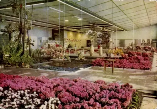 Ak 1. Int. Gartenbau-Ausstellung d. sozialistischen Länder Erfurt 1961, Halle Blumen u. Zierpflanzen