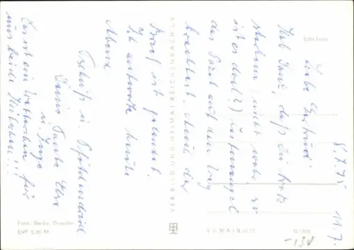 Ak junge Katze, Tierportrait