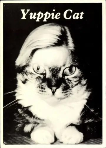 Ak Yuppie Cat, Katze mit menschlicher Frisur, Fotomontage