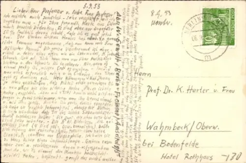 Ak Großtrappe, Tierportrait