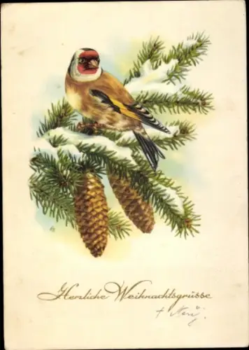 Ak Frohe Weihnachten, Vogel auf einem Tannenzweig