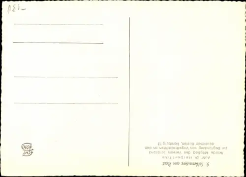 Ak Silbermöwe am Nest, Tierportrait