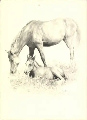 Künstler Ak Stig Blanck, Pferd mit Fohlen