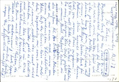 Ak Eisbären, Tierportrait