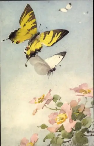 Künstler Ak Klein, Catharina, Schmetterlinge, Kirschblüte