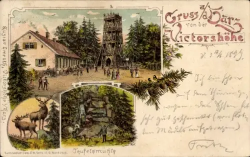 Litho Gernrode Quedlinburg im Harz, Victorshöhe, Gastwirtschaft und Aussichtsturm, Teufelsmühle