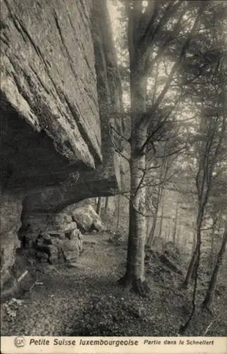 Ak Echternach Luxemburg, Petite Suisse luxembourgeoise, Partie dans le Schnellert