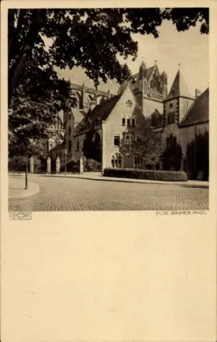 Ak Magdeburg an der Elbe, Historische Gebäude, Straßenansicht, Bäume, Schwarz-Weiß-Foto