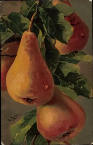 Künstler Ak Klein, Catharina, Birnen an einem Zweig