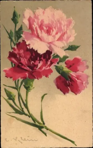 Künstler Litho Klein, Catharina, Nelken