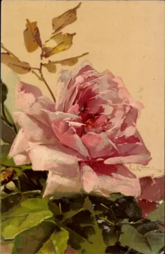 Künstler Ak Klein, Catharina, Rosenblüte