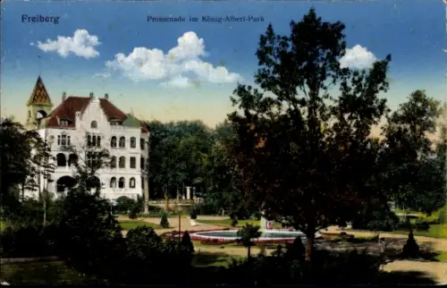 Ak Freiberg in Sachsen,  Promenade im König-Albert-Park, Parklandschaft, Gebäude