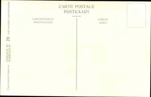 Künstler Ak Dupond, Hub., Chlidonias niger, Trauerseeschwalbe