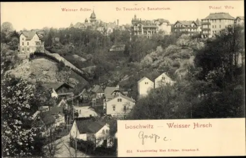 Ak Dresden Loschwitz, Weißer Hirsch, Weißer Adler, Dr. Teuscher's Sanatorium, Prinzl. Villa