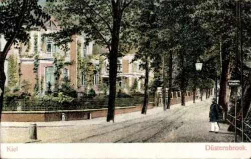 Ak Düsternbrook Kiel, Straßenpartie