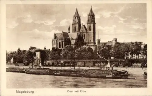 Ak Magdeburg an der Elbe, Dom mit Elbe, Schiffe an der Elbe, Stadtansicht