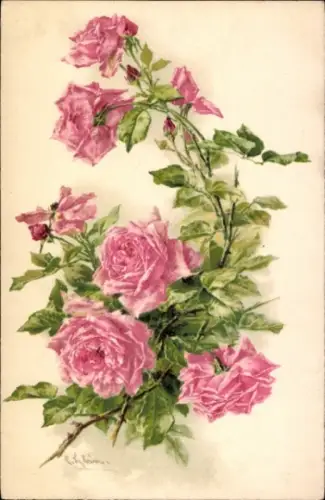 Künstler Litho Klein, Catharina, Rosa Rosenblüten