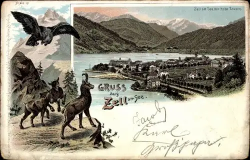 Litho Zell am See in Salzburg, Gesamtansicht, Ziegen, Adler
