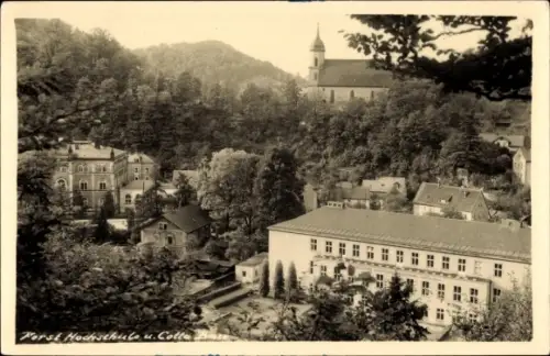 Foto Ak Tharandt im Erzgebirge, Forsthochschule und Cotta Base