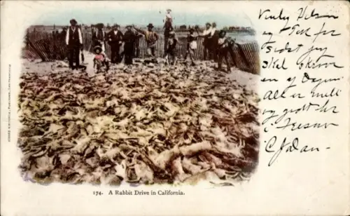 PC California USA, A Rabbit Drive