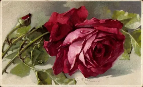 Künstler Litho Klein, Catharina, rote Rose