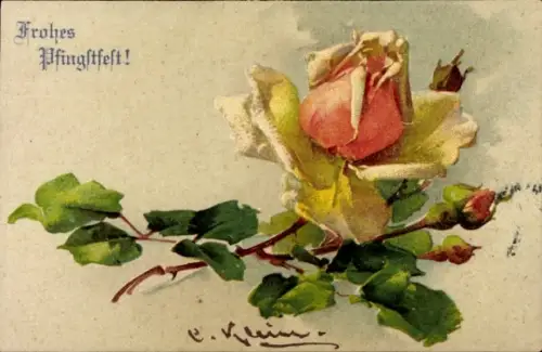 Künstler Ak Klein, Catharina, Rosenblüte