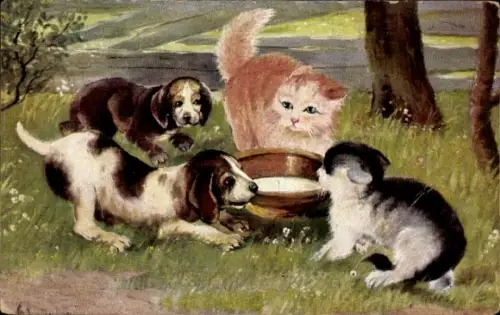 Ak Hunde und Katzen an Milchschale
