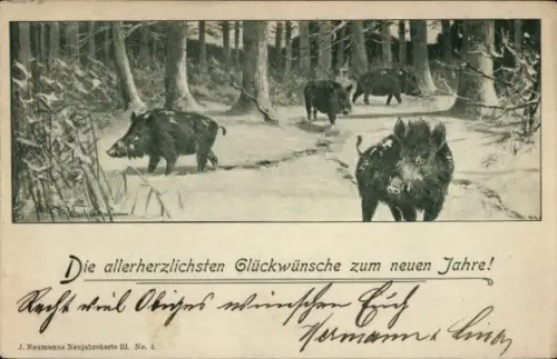 Ak Glückwunsch Neujahr, Wildschweine