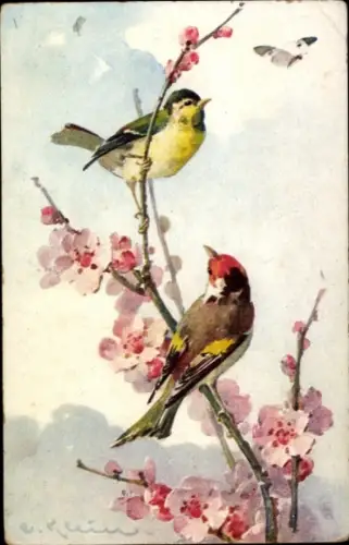 Künstler Ak Klein, Catharina, Vögel auf einem blühenden Zweig, Schmetterling