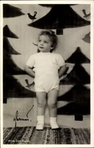 Ak Prinz Carl Gustaf von Schweden, Portrait