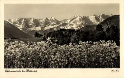 Ak Murnau am Staffelsee, Blumenwiese