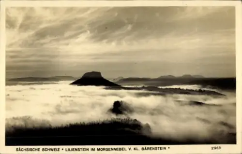 Ak Königstein an der Elbe Sächsische Schweiz,  Lilienstein, Morgennebel, Kleiner Bärenstein