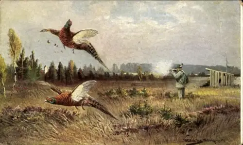 Künstler Ak Müller, jun., Federwild, Jagdszene, Fasane