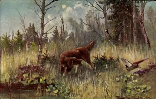 Künstler Ak Müller, August, Jagdhund, Vogel