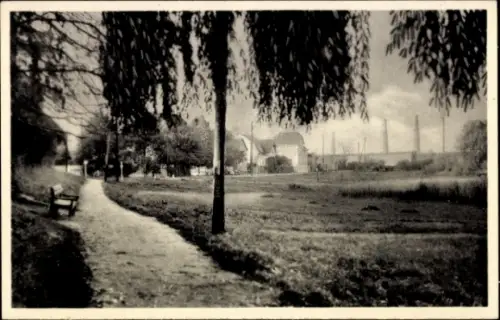 Ak Glindow Werder an der Havel, Parkweg, Bäume, Wiese, Gebäude im Hintergrund, Glindow am See