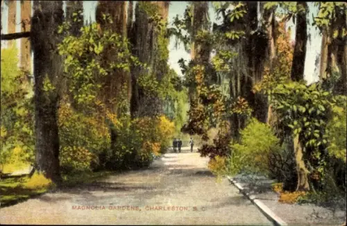 PC Charleston, South Carolina, USA, Magnolia Gardens