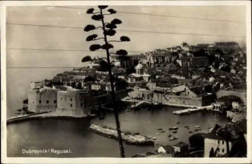 Ak Dubrovnik Kroatien, Stadtansicht von  Hafen, Boote,  Gebäude
