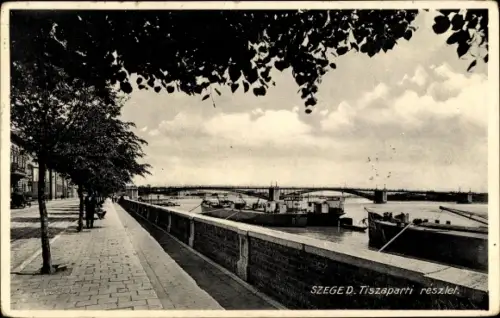 Ak Segedin Szeged Ungarn, Tiszaparti reszlet