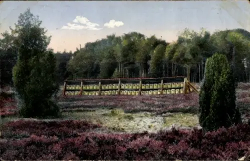 Ak Bienenzaun in der Lüneburger Heide