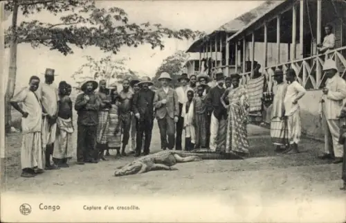 Ak Congo Belge DR Kongo Zaire, Capture d'un crocodile